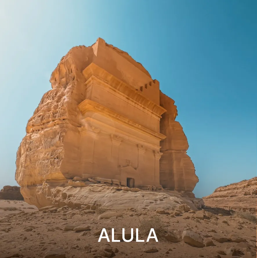 Haute holiday top place alula