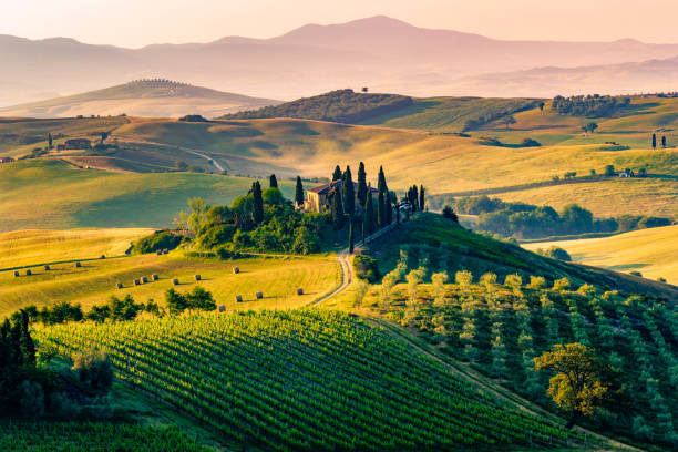 Tuscany, is famous for amazing food and landscapes